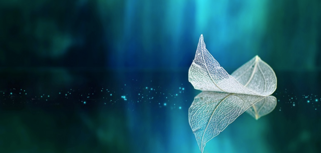 December Engage Newsletter